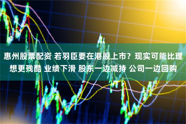 惠州股票配资 若羽臣要在港股上市？现实可能比理想更残酷 业绩下滑 股东一边减持 公司一边回购