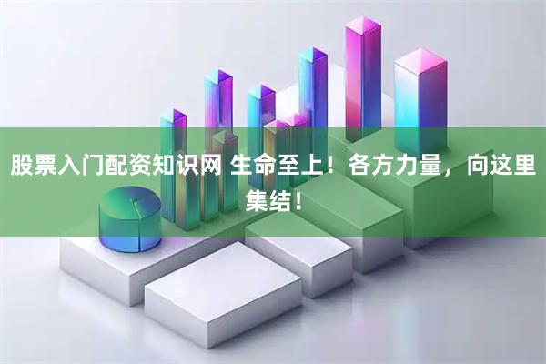 股票入门配资知识网 生命至上！各方力量，向这里集结！